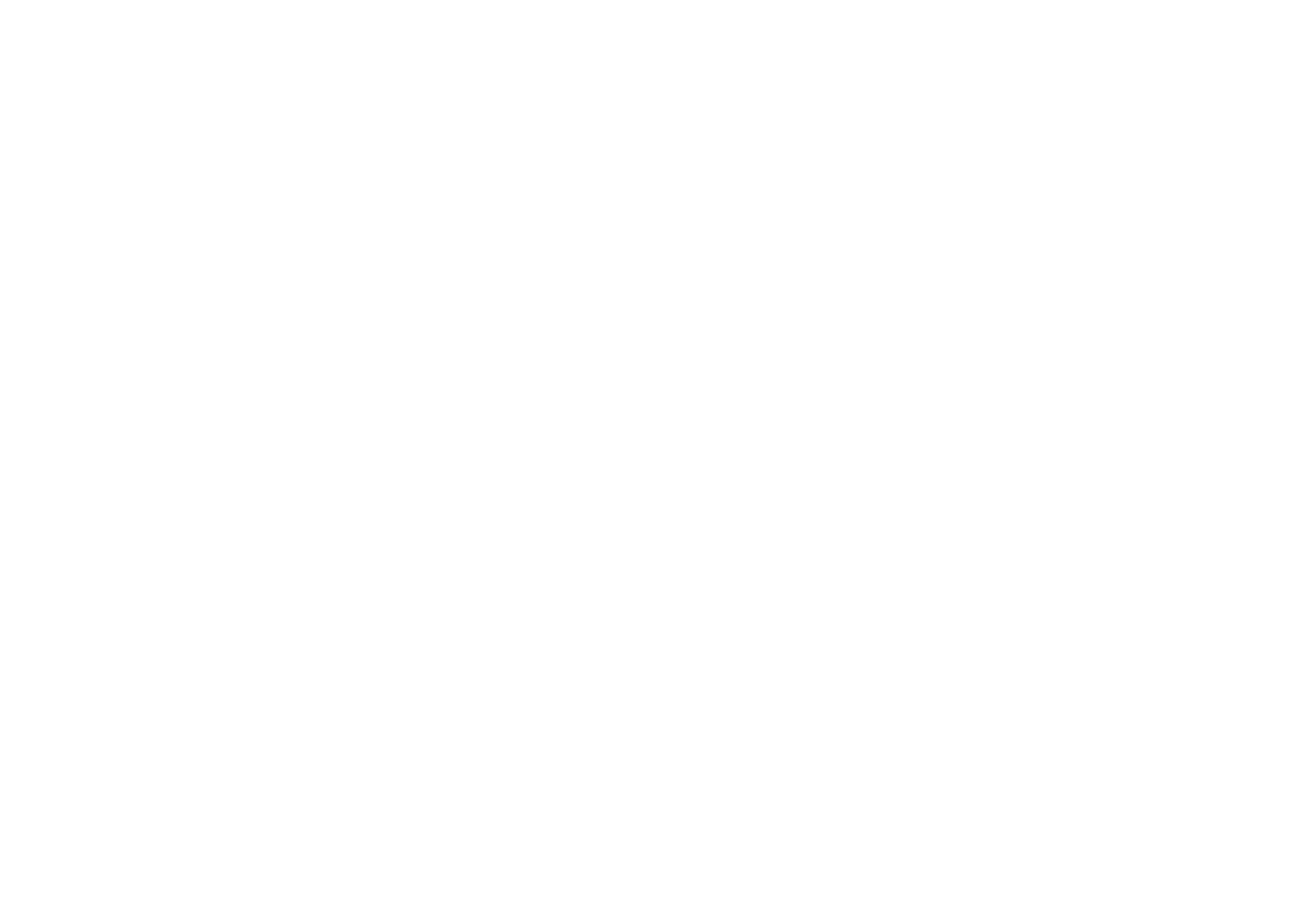 Follizin
